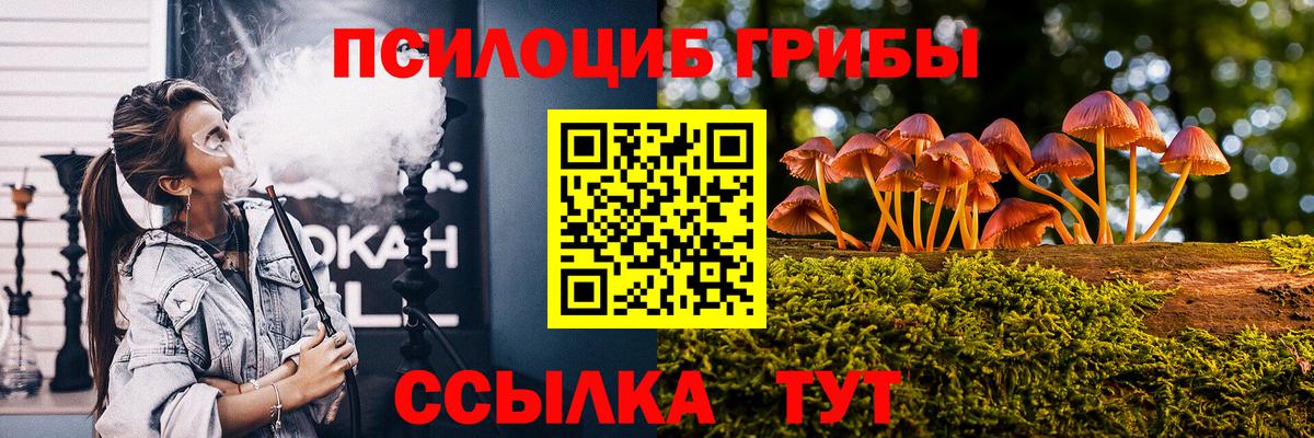 Галлюциногенные грибы прущие грибы Фрязино