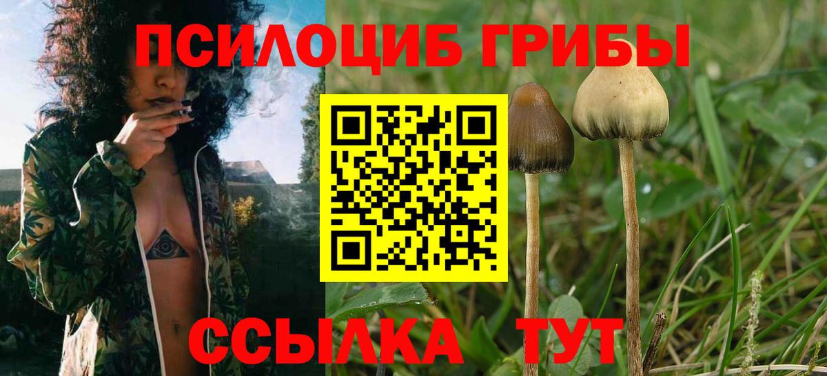 Псилоцибиновые грибы Magic Shrooms  Вход с VPN  Фрязино 